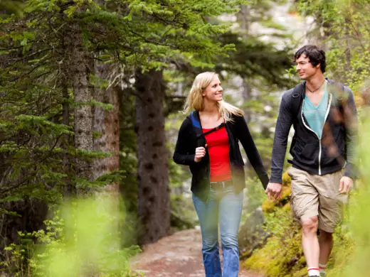 Ein Paar läufte Händchenhaltend durch einen Nadelwald.
