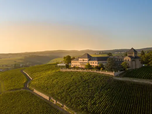 Blick von oben auf einen großen Weinberg. In der Mitte steht ein Weingut.