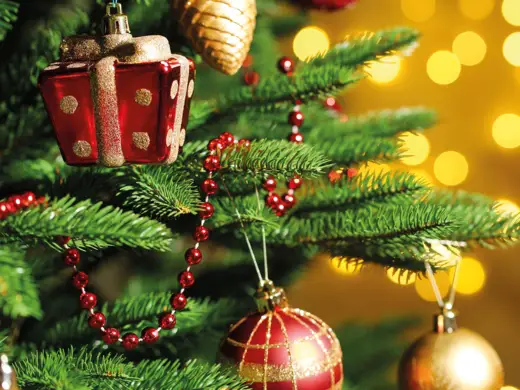 Besinnliche Weihnachten in Dresden - 3 Tage - Hyperion Hotel Dresden am Schloss